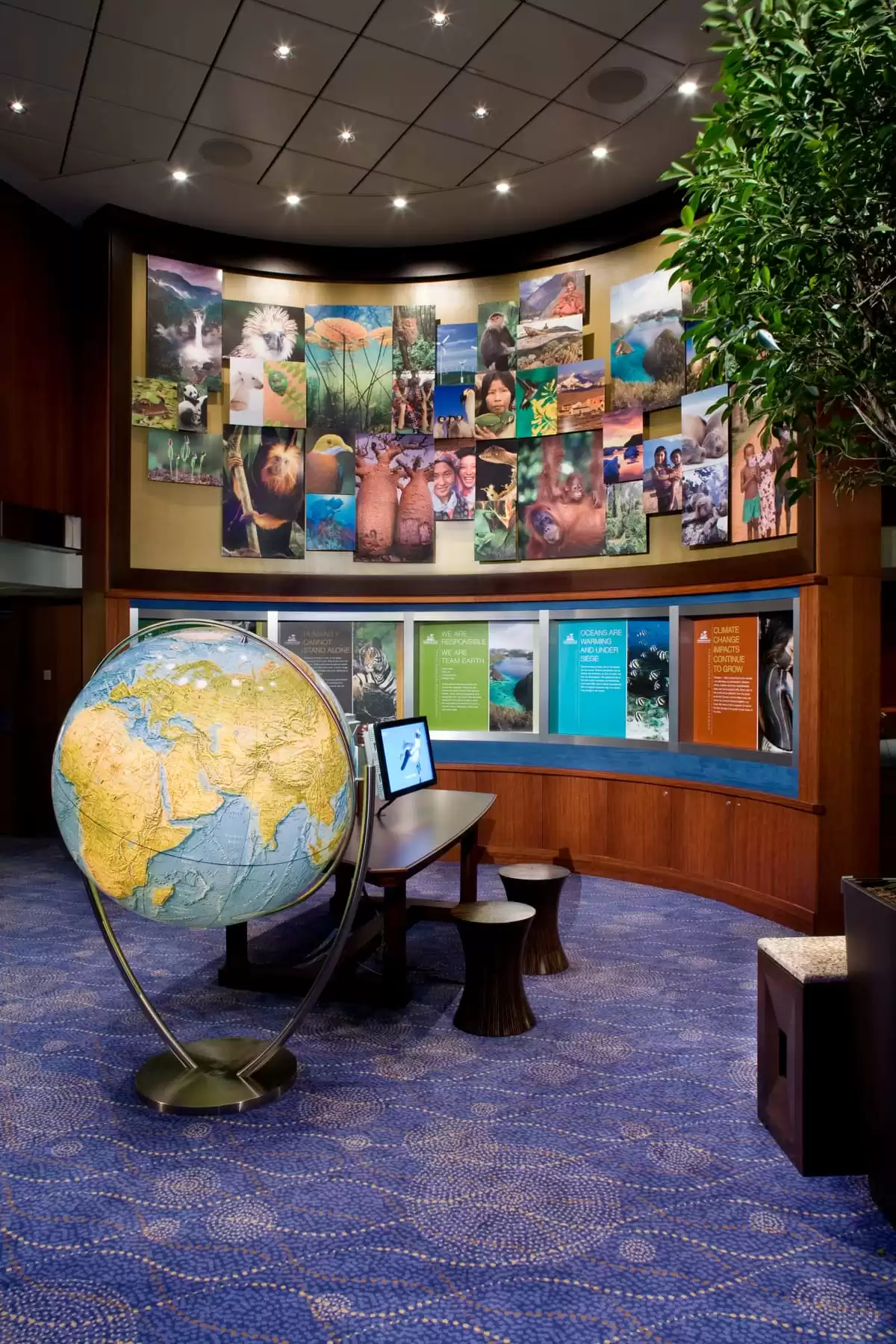 le Celebrity Solstice :  cabine 25