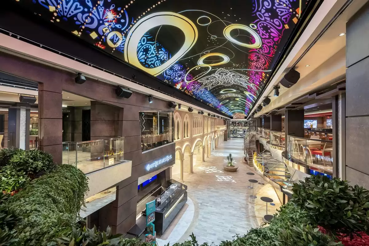 le MSC Euribia :  cabine 9