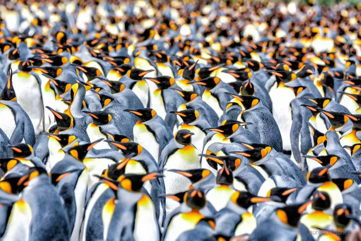 le Le Lyrial :  cabine 2