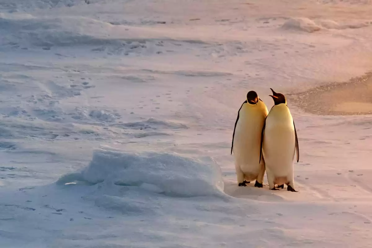 le Le Lyrial :  cabine 3