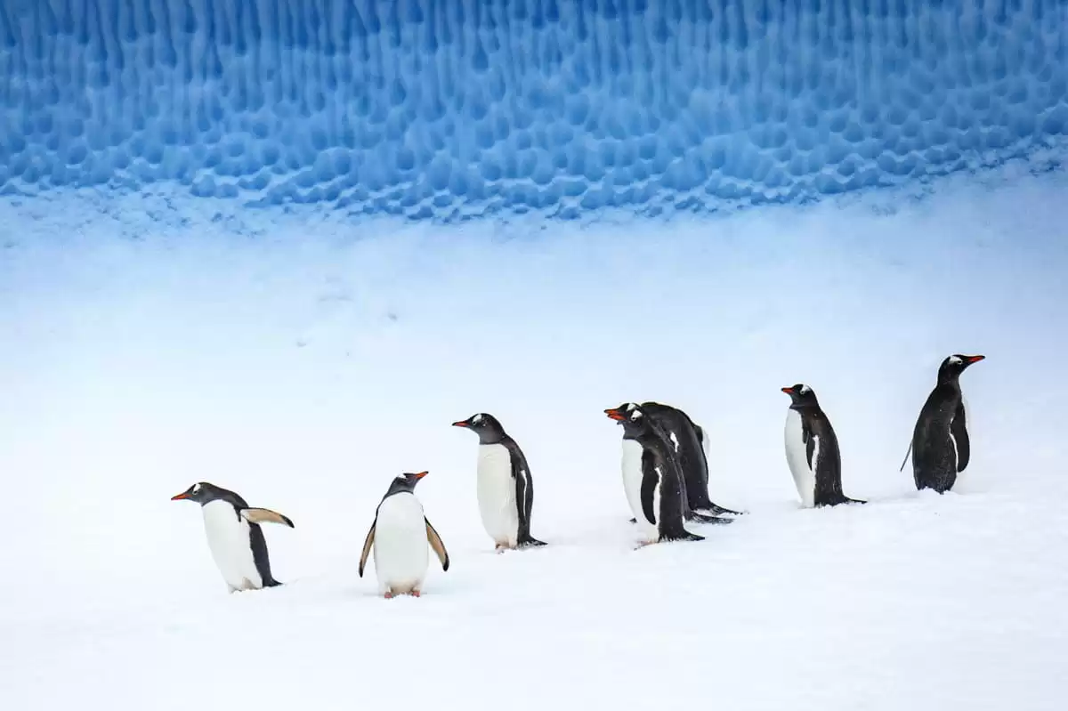 le Le Lyrial :  cabine 14