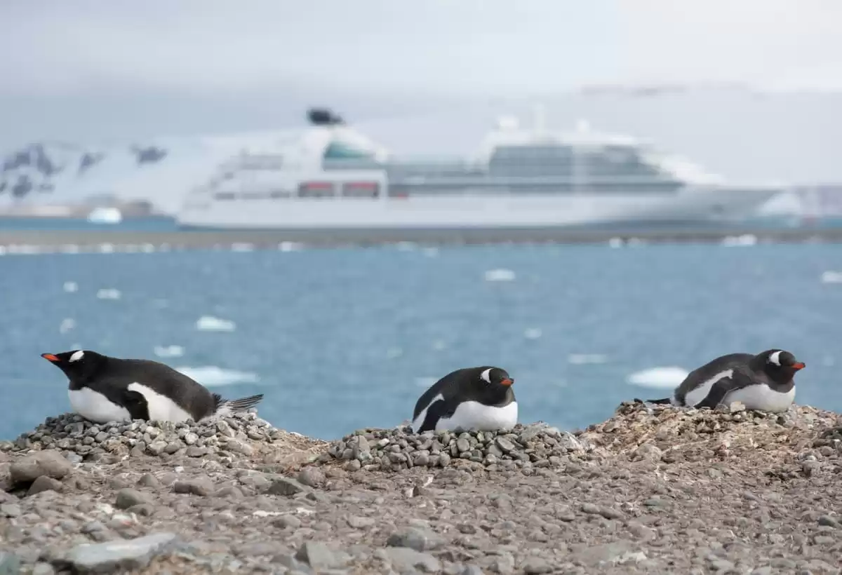 le Seabourn Quest :  cabine 10