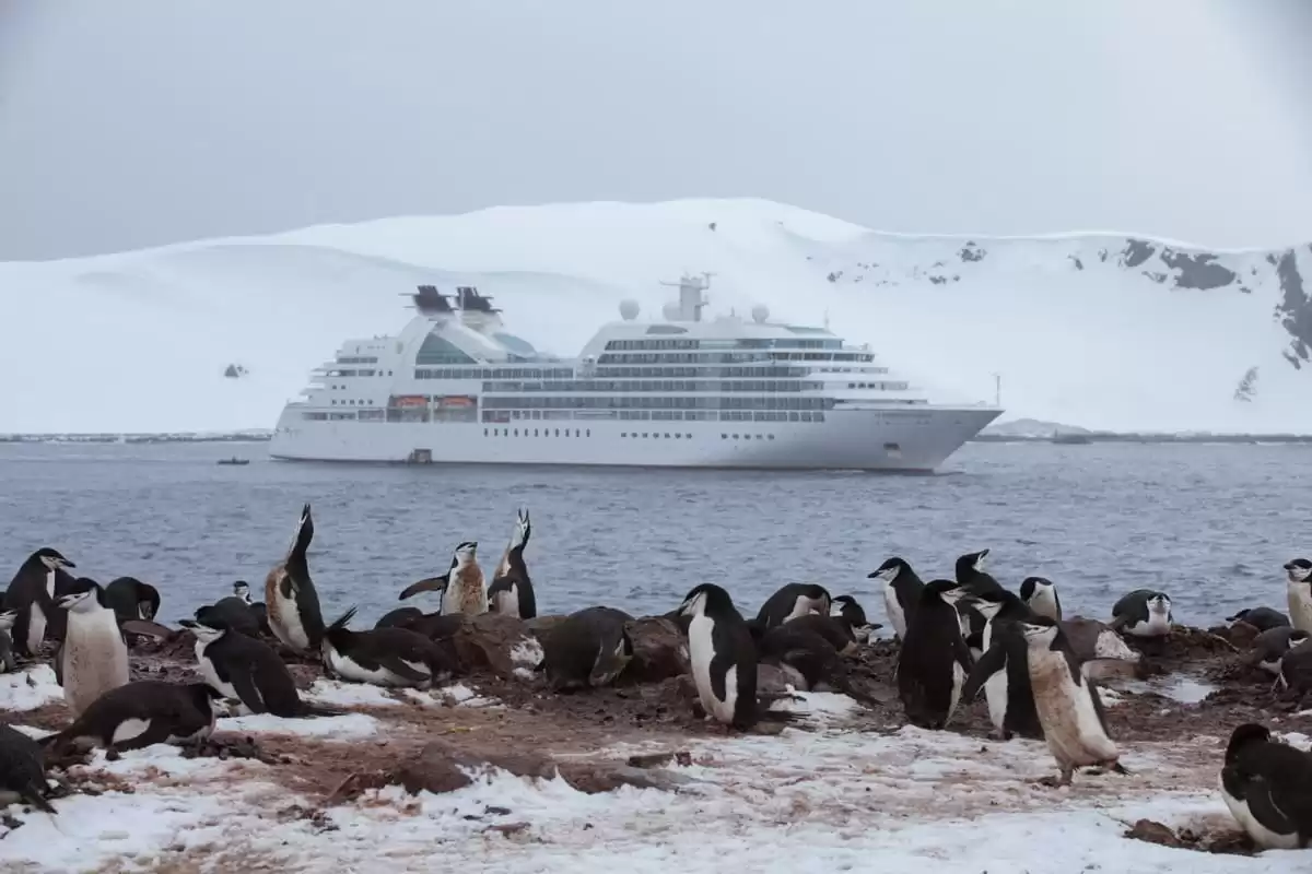 le Seabourn Quest :  cabine 14