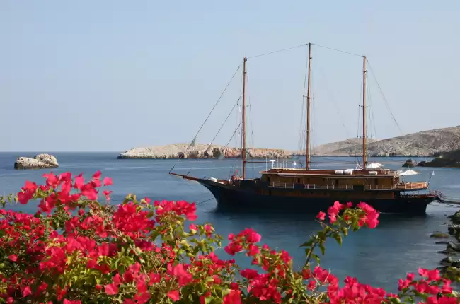 Variety Cruises