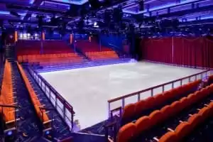 Spectacles et animations au Studio B