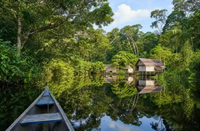 En Amazonie