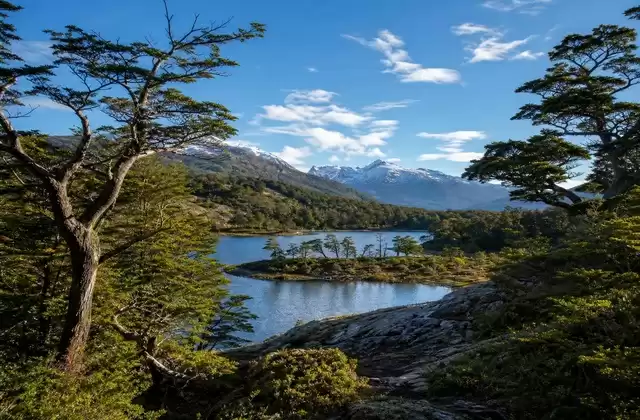 Dans le parc Tierra del Fuego