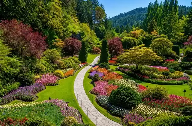 Île de Vancouver