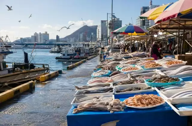 À Busan