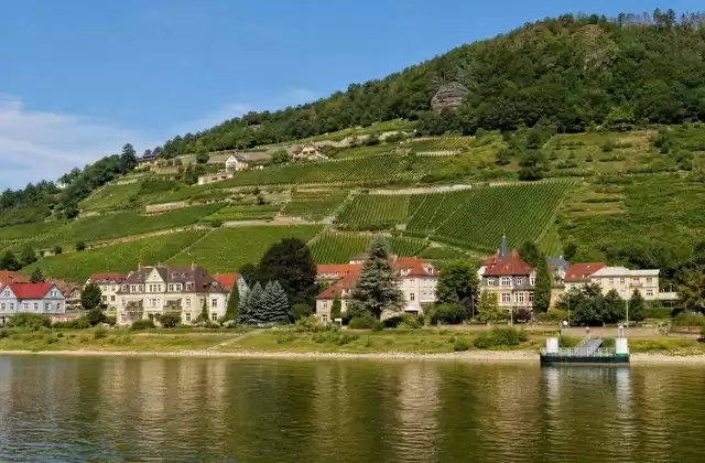 Coteaux de Saxe