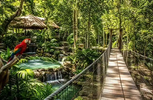 À Gumbalimba Park