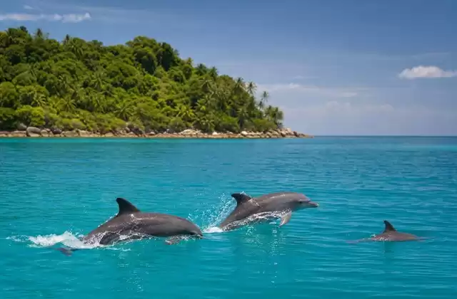 Autour de Sandy Bay