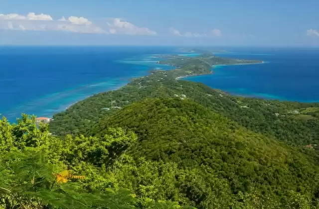 Dans l'intérieur de Roatán