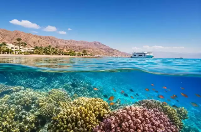 Sur les récifs d'Aqaba