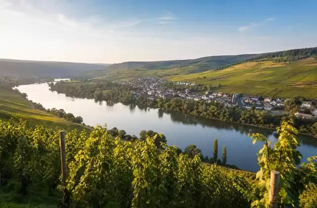 Depuis les vignes de la Moselle