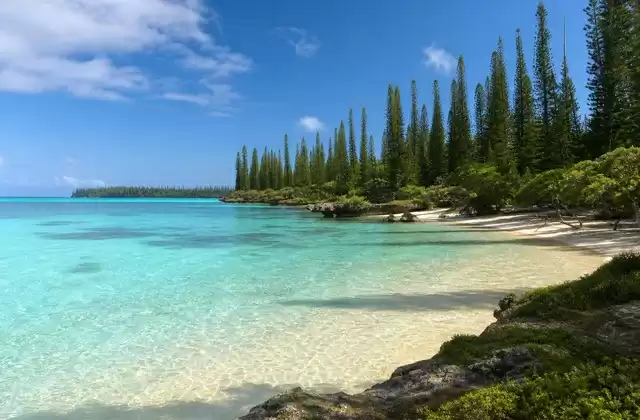 Île des Pins