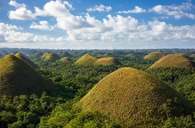 À Bohol