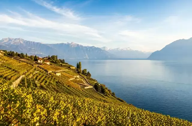 Depuis Lavaux