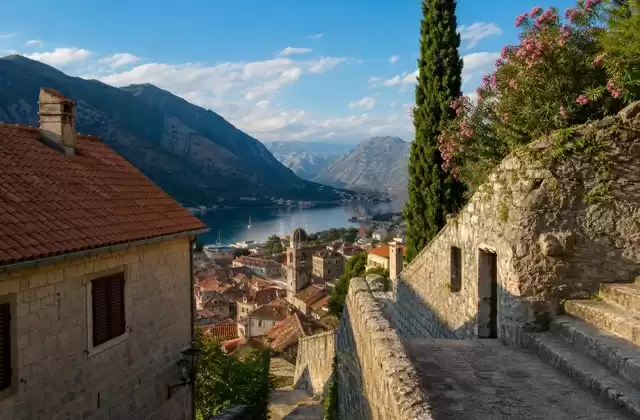 Kotor