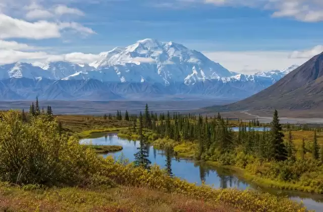 Denali