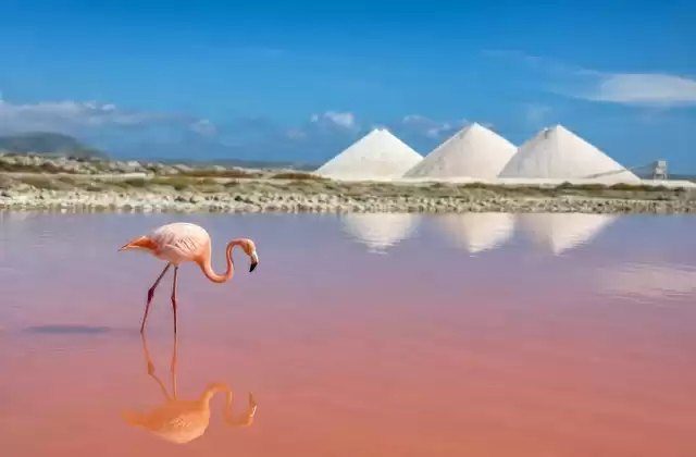 Salines de Pekelmeer