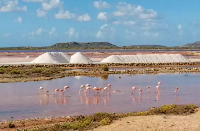 Salines de Pekelmeer
