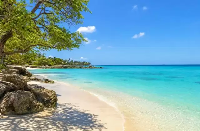 Aruba