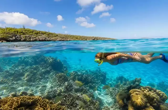 Bonaire