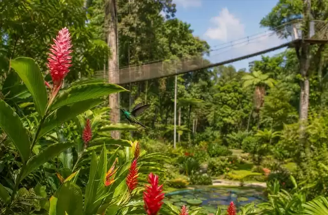 Jardin de Balata