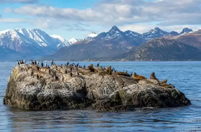 Canal Beagle
