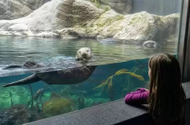 Vancouver
