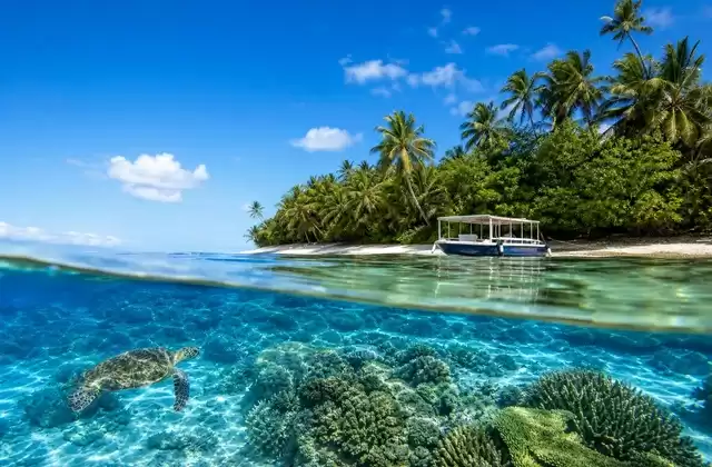Îles Salomon