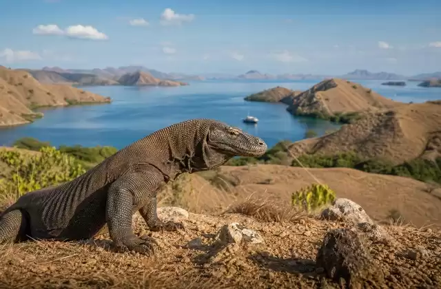 Parc national de Komodo