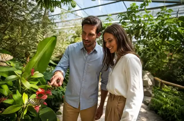 Jardin des Papillons
