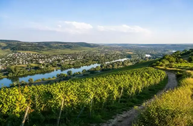 Vignobles de Stadtbredimus