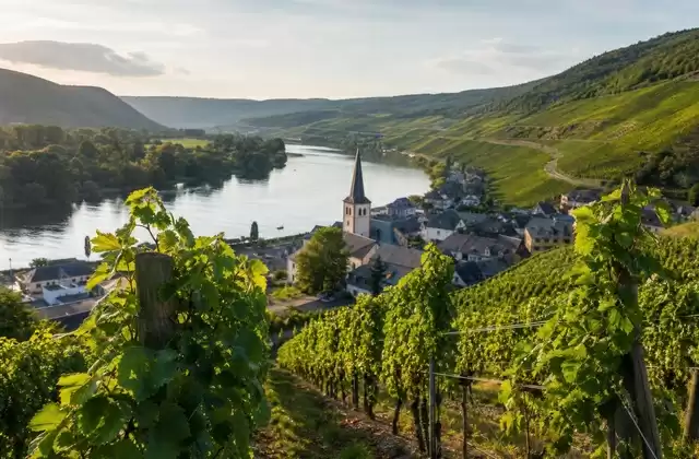 Route des vins