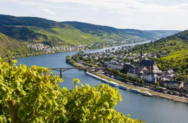 Route des vins