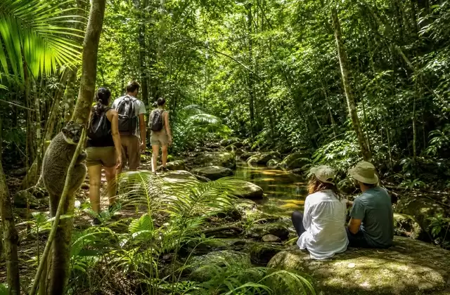 Réserve de Nahampoana