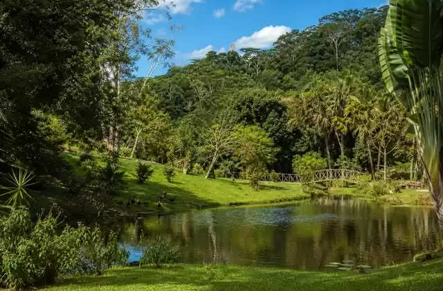 Parc Ivoloina