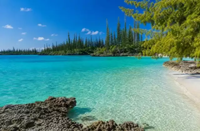 Île des Pins