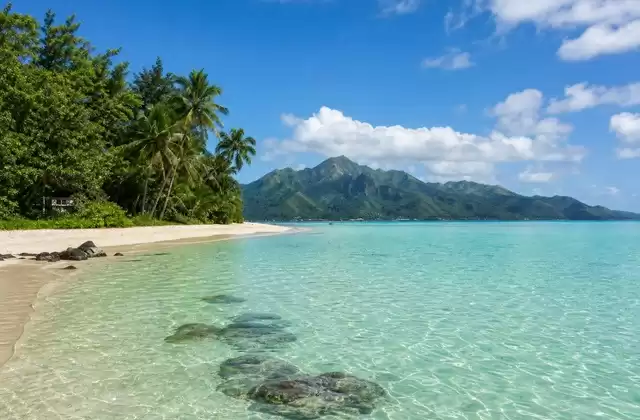 Plage de Temae