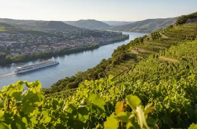 Les vignobles de Tain-l'Hermitage
