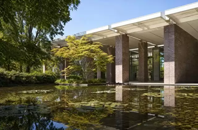 Fondation Beyeler