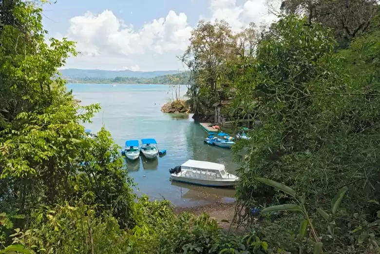 Golfo Dulce - Costa Rica