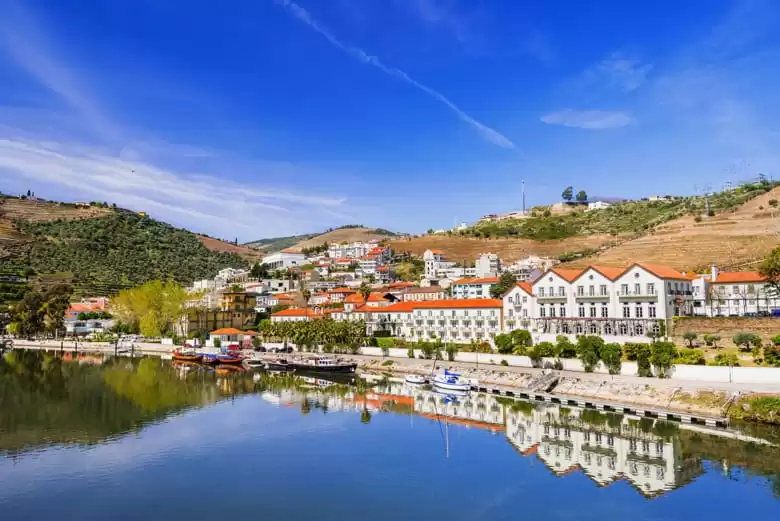 Pinhão